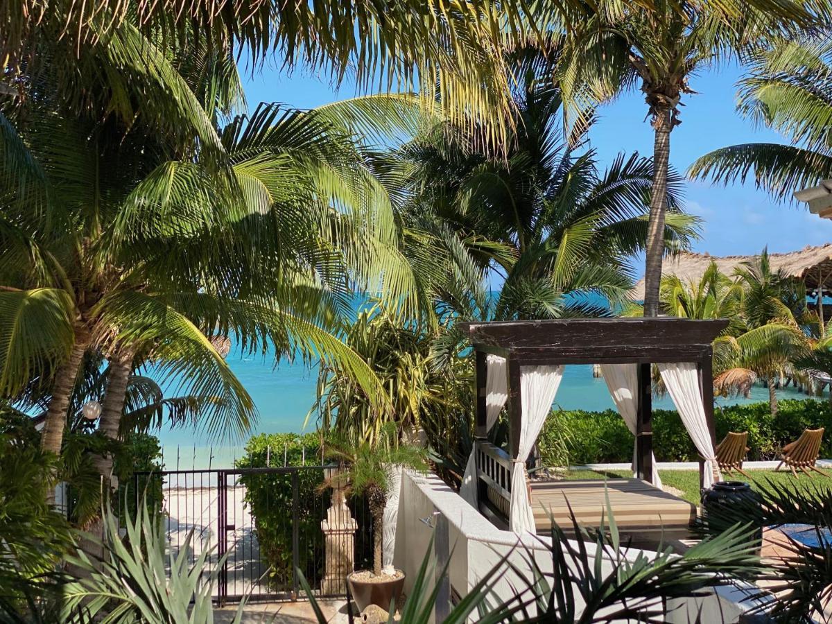 Villa Albatros Oceanfront Luxury Hotelzone Канкун Экстерьер фото